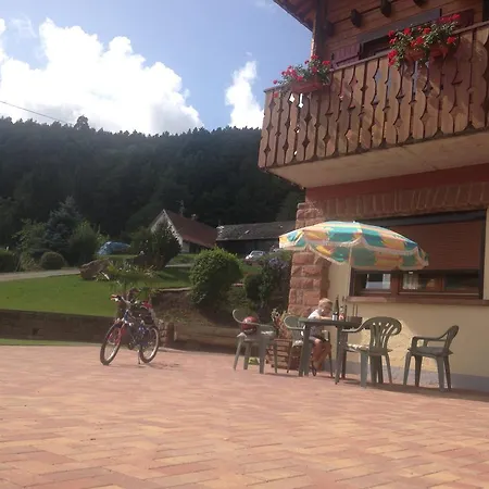 Les Pins Et Les Bruyères * Wangenbourg-Engenthal