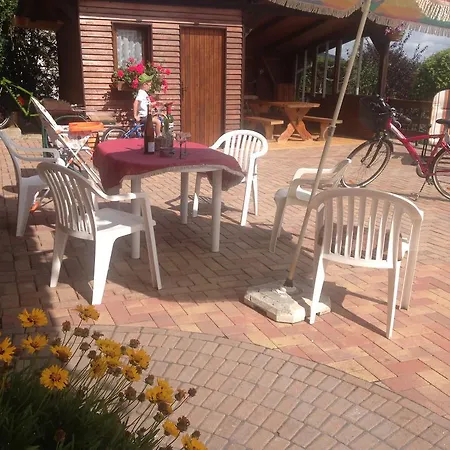 Les Pins Et Les Bruyeres