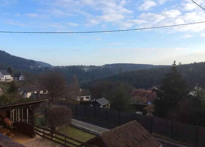 Апартаменты Les Pins Et Les Bruyeres Wangenbourg-Engenthal