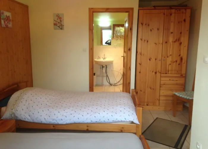 Les Pins Et Les Bruyeres Апартаменты Wangenbourg-Engenthal