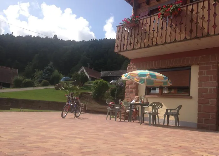 Les Pins Et Les Bruyeres * Wangenbourg-Engenthal