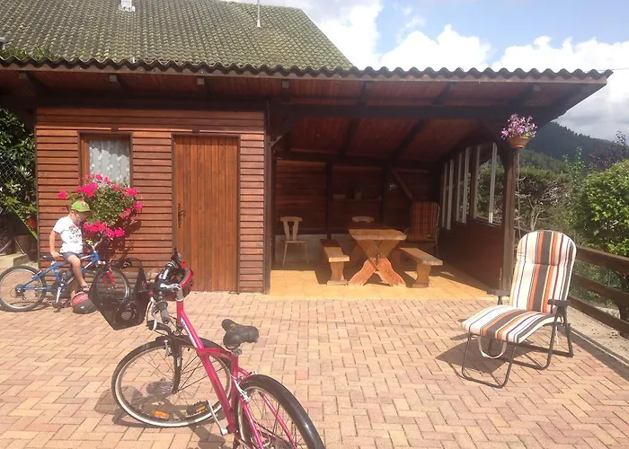 Les Pins Et Les Bruyeres Wangenbourg-Engenthal