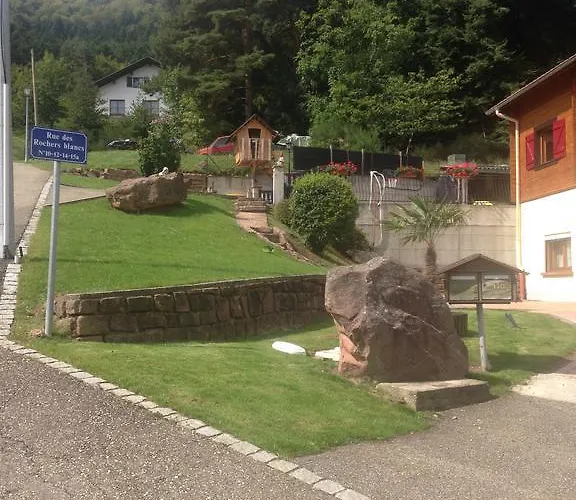 Les Pins Et Les Bruyeres * Wangenbourg-Engenthal